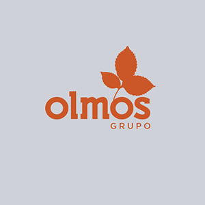 Grupo Olmos